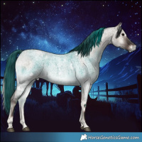Horse Color:White Spotted Grullo Roan Onyx 