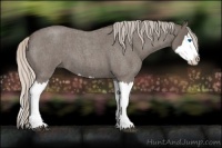 Horse Color:Silver Blue Roan Splash