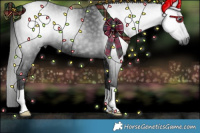 Horse Color:Gray Black 