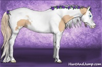 Horse Color:Gold Champagne Splash Tobiano 