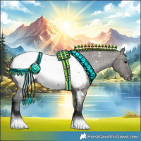 Horse Color:Grullo Appaloosa 