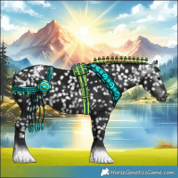 Horse Color:Gray Black Appaloosa