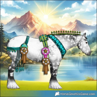 Horse Color:Gray Black Appaloosa