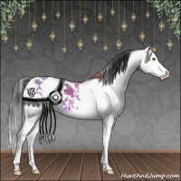 Horse Color:Buckskin Dun Sabino Splash