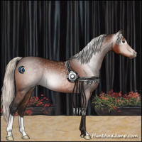 Horse Color:Gray Silver Brown 
