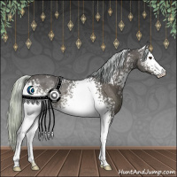 Horse Color:White Spotted Silver Brown 