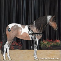 Horse Color:Bay Tobiano 