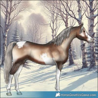 Horse Color:Liver Red Onyx Mushroom Tobiano 