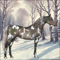 Horse Color:Platinum White Spotted Liver Chestnut Rabicano 