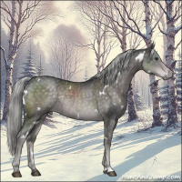 Horse Color:Platinum White Spotted Chocolate Palomino Rabicano 