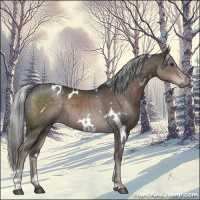 Horse Color:Platinum White Spotted Liver Chestnut Rabicano 