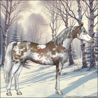 Horse Color:White Spotted Liver Chestnut Mushroom Splash 
