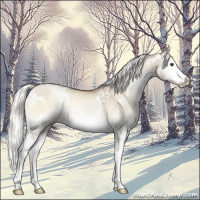 Horse Color:White Spotted Liver Red Dun Pearl Onyx Mushroom Sabino Splash 