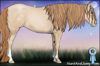 Horse Color:Smoky Black Pearl 