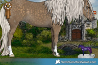 Horse Color:Silver Smoky Black