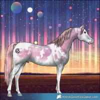 Horse Color:Painted Watercolor White Spotted Silver Blue Onyx Ice Tobiano Rabicano