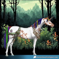 Horse Color:Painted Bay Tobiano Appaloosa Rabicano 