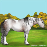Horse Color:Gray Bay Tobiano Rabicano 