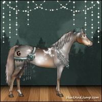 Horse Color:Gray White Spotted Chocolate Palomino 