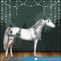 Horse Color:Gray White Spotted Liver Chestnut Rabicano 
