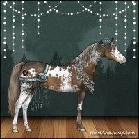 Horse Color:White Spotted Chocolate Palomino 