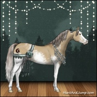 Horse Color:White Spotted Chocolate Palomino Dun Splash Rabicano 