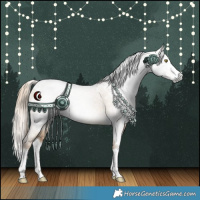 Horse Color:Gray White Spotted Chocolate Palomino Dun Splash Rabicano 
