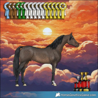 Horse Color:Brown Dun