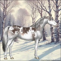 Horse Color:White Spotted Liver Chestnut Mushroom Splash 