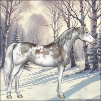 Horse Color:White Spotted Liver Chestnut Mushroom Splash 