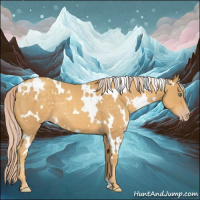 Horse Color:White Spotted Gold Cream Champagne