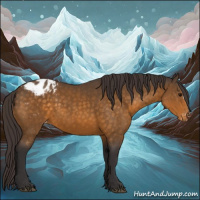 Horse Color:Buckskin Appaloosa 