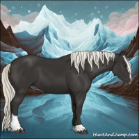 Horse Color:Liver Chestnut Mushroom Sabino 