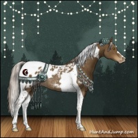 Horse Color:Chocolate Palomino Tobiano Appaloosa Rabicano 