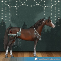 Horse Color:White Spotted Liver Chestnut Tobiano 