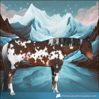 Horse Color:White Spotted Liver Chestnut 