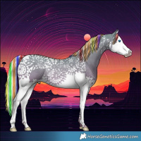 Horse Color:Painted Silver Bay Dun Splash Tobiano Rabicano 