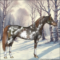 Horse Color:White Spotted Liver Chestnut Rabicano 