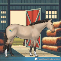 Horse Color:Bay Dun Tobiano 