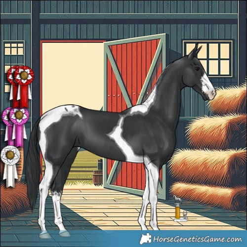 Horse Color:White Spotted Black Tobiano 