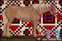 Horse Color:Chestnut Rabicano 