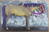 Horse Color:Watercolor Sable Champagne Rabicano 