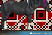 Horse Color:Black Tobiano 