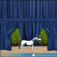 Horse Color:Black Tobiano Frame 