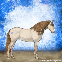 Horse Color:Red Dun Roan 