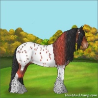 Horse Color:Brown Tobiano Near Leopard 