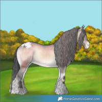 Horse Color:Brown Onyx Tobiano Appaloosa