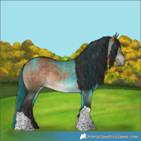 Horse Color:Bay Dun Tobiano 