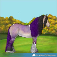 Horse Color:Bay Dun Tobiano 