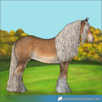 Horse Color:Chocolate Palomino Sabino 